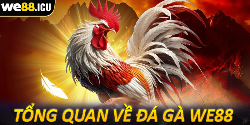 Giới thiệu tổng quan chung về sảnh đá gà we88