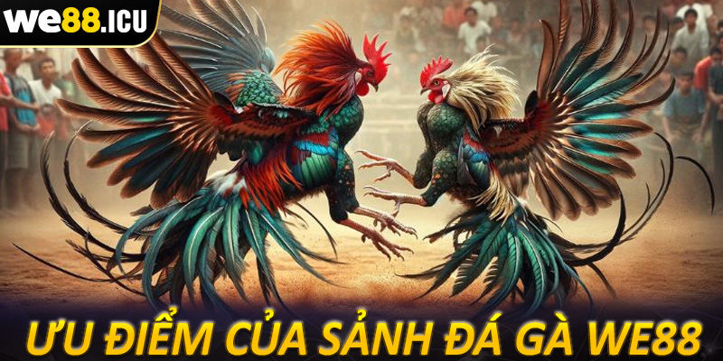 Những ưu điểm tạo lên sức hấp dẫn của sảnh đá gà we88